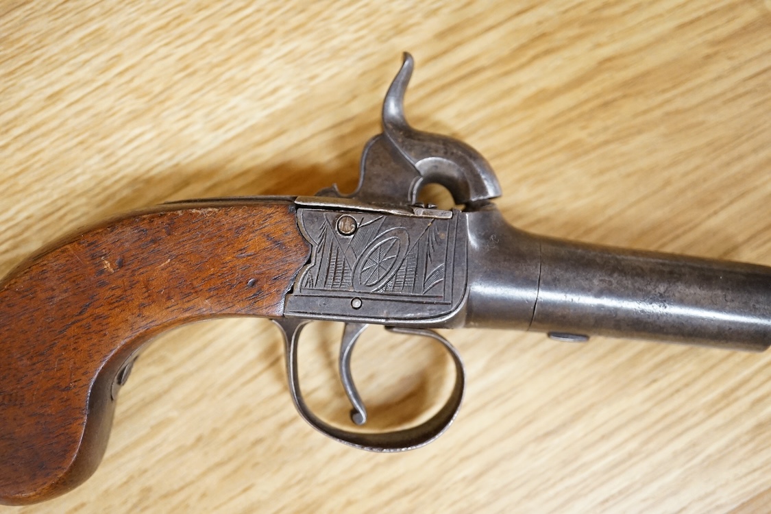 A boxlock percussion pocket pistol with turn off barrel, Birmingham proofs, trophy engraved frame, and slab walnut butt